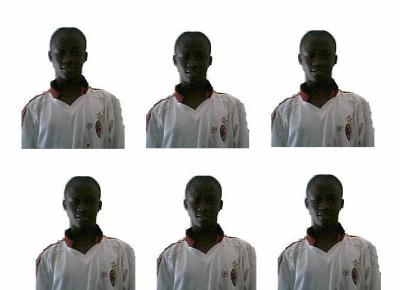 bibson